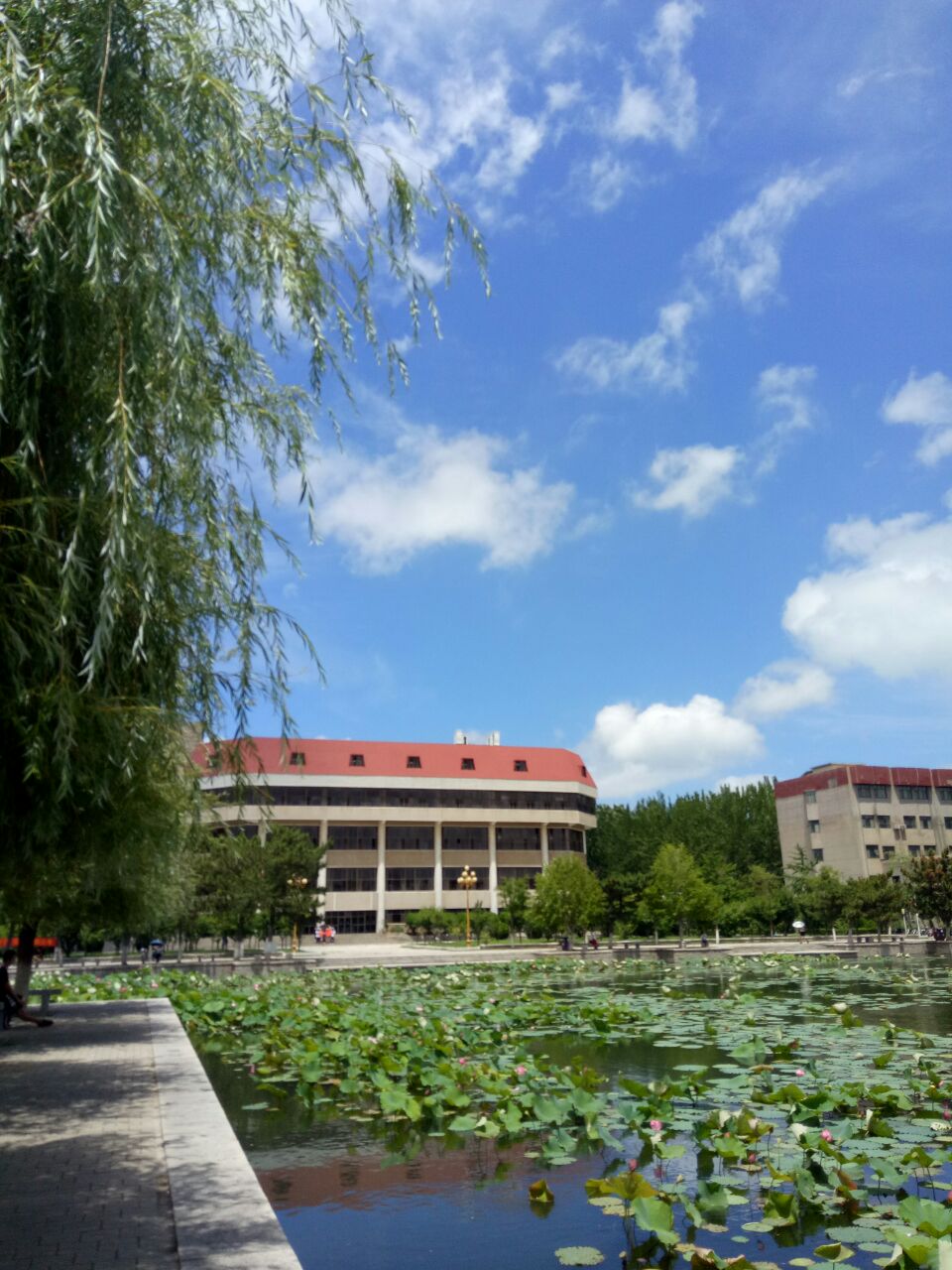 烟台大学