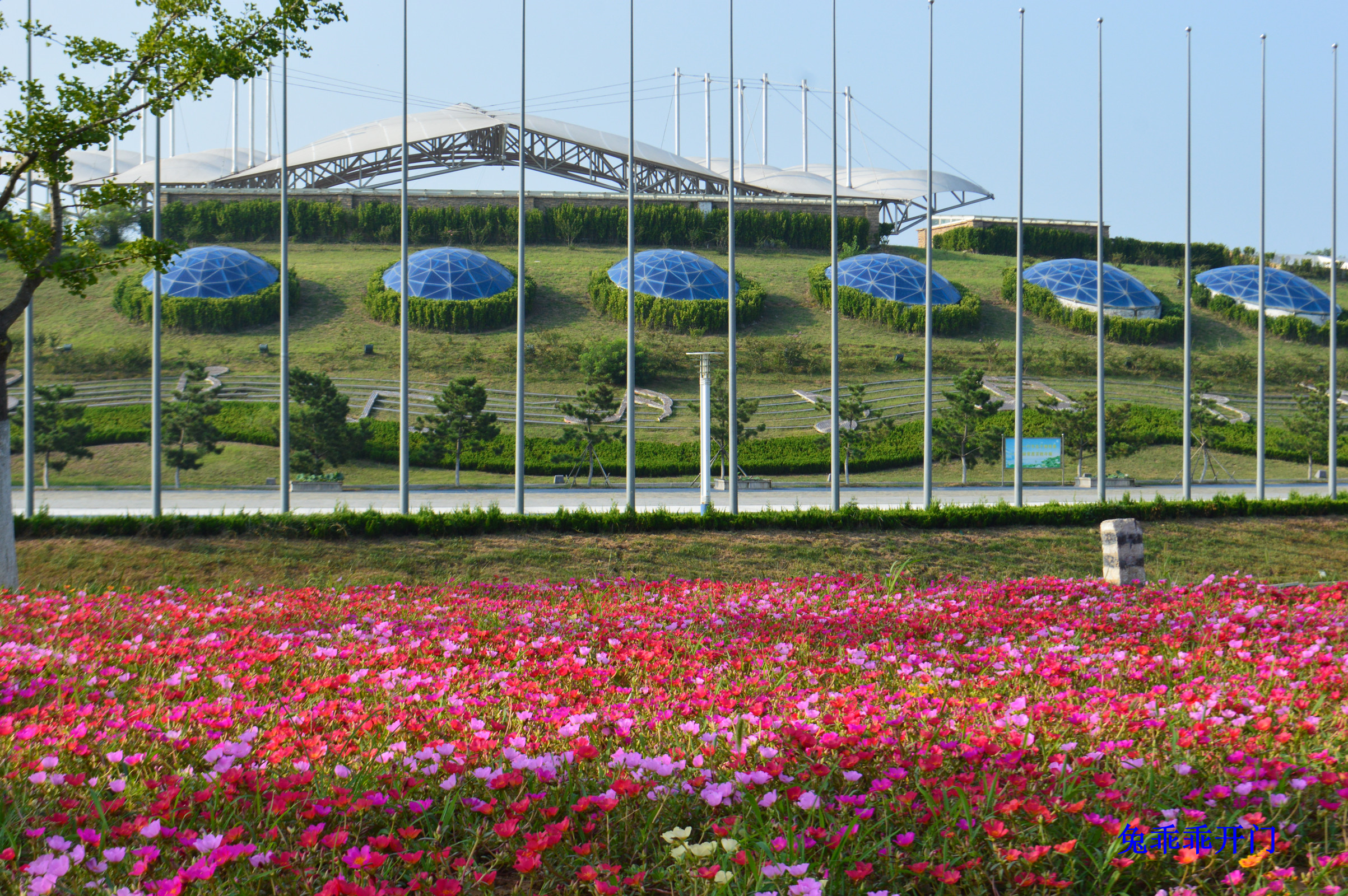 亚沙水生植物园