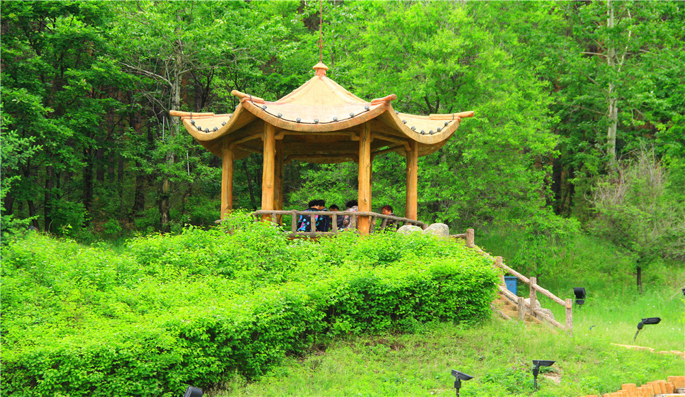 那一年,飘走东北,黑龙江休闲之旅;大兴安岭加格达奇,北山森林公园,嘎
