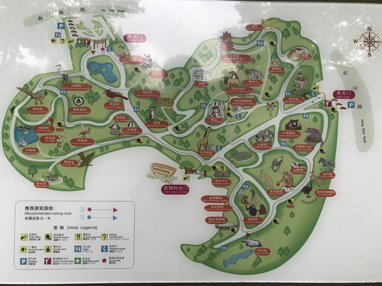 红山森林动物园
