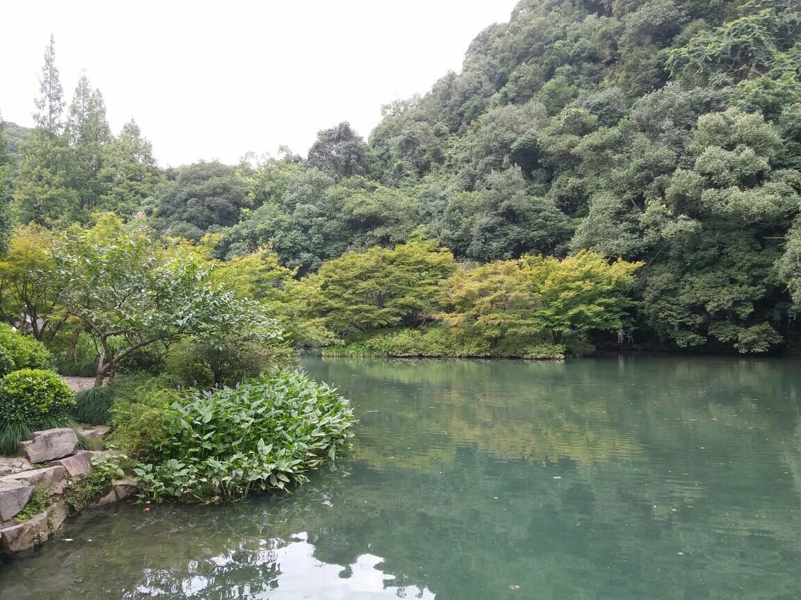 九溪烟树旅游景点攻略图