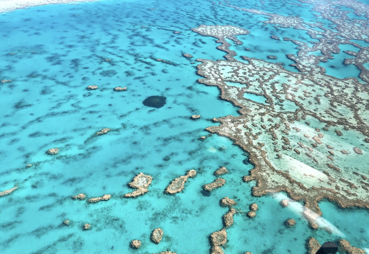 心形大堡礁