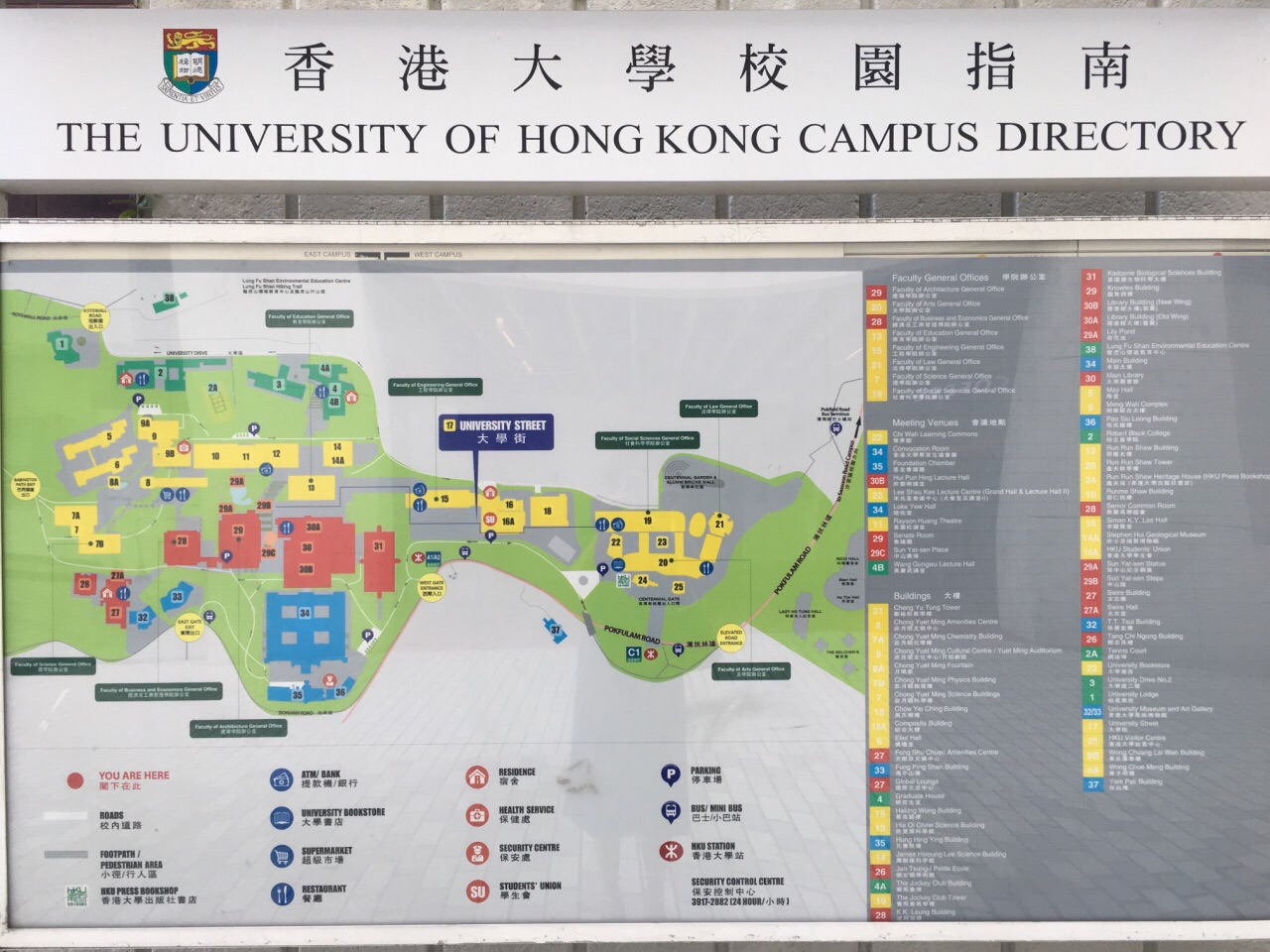 香港大学