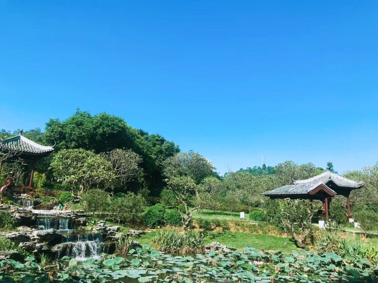 夏天蚊子比较多而且整个森林有些晒所以不建议夏天去 2018-10-29有用