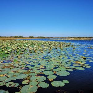 黑瞎子岛旅游景点攻略图