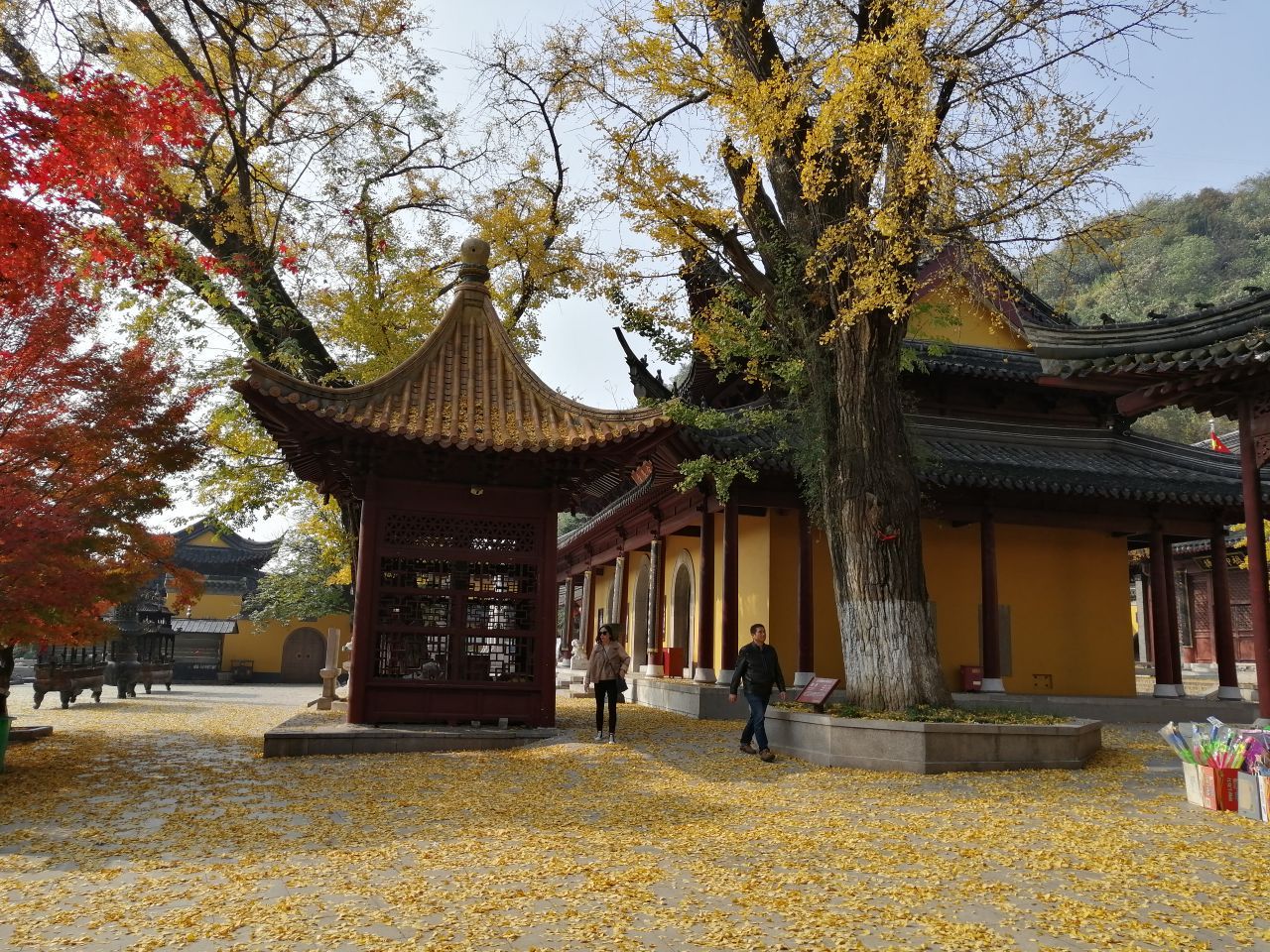 2019焦山_旅游攻略_门票_地址_游记点评,镇江旅游景点推荐 去哪儿攻