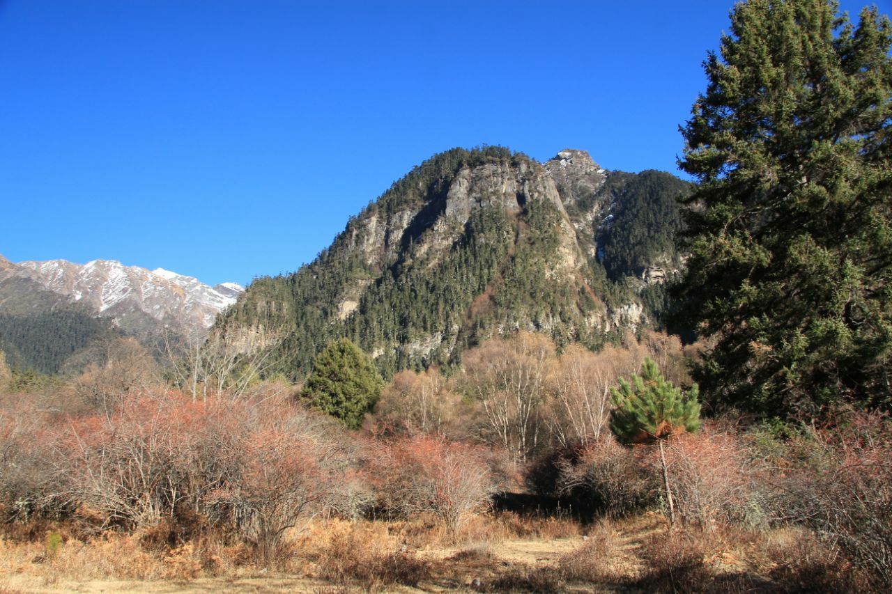 米林扎贡沟风景区攻略,米林扎贡沟风景区门票/游玩攻略/地址/图片