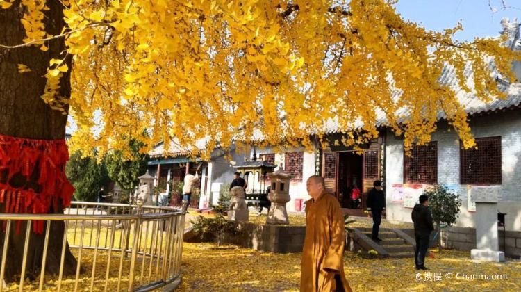 青岛法海寺攻略-法海寺门票价格多少钱-团购票价预定优惠-景点地址