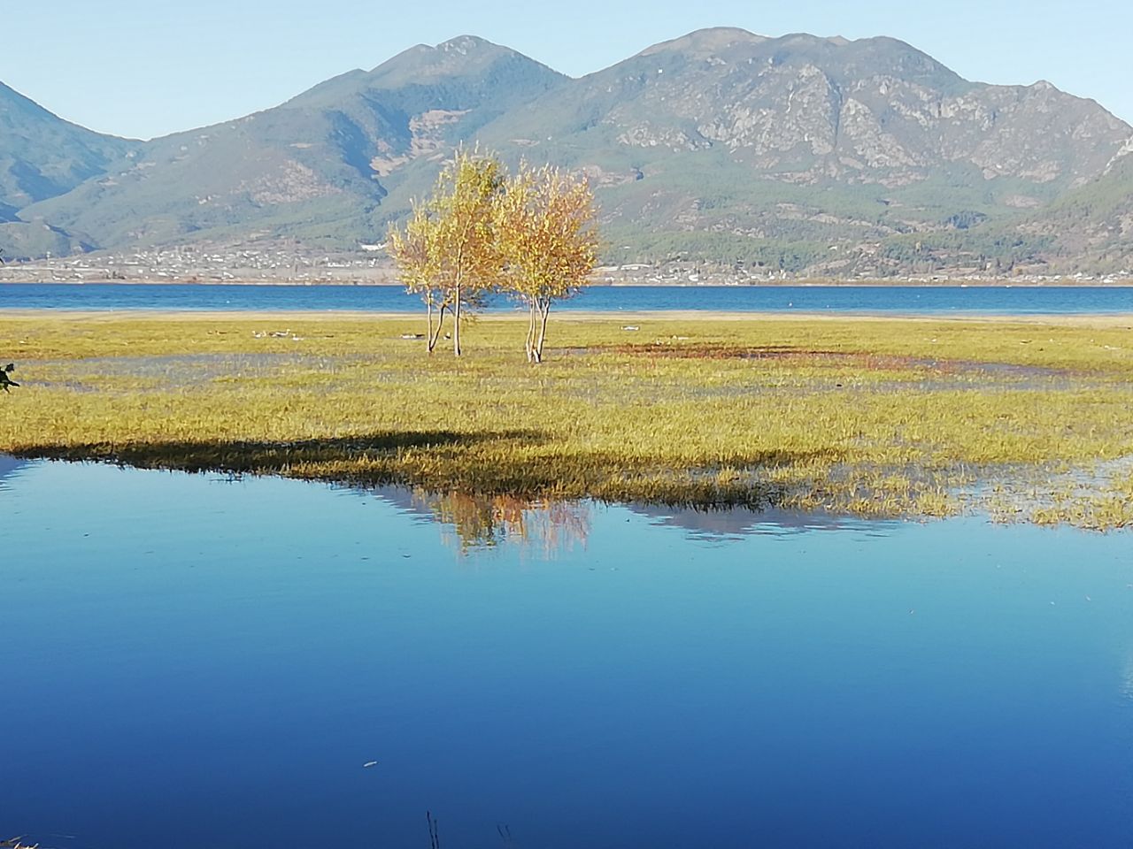 拉市海湿地公园