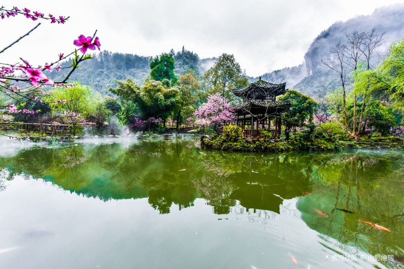 山野幽居桃花源,一座天上人间般的秘境,-酉阳桃花源行