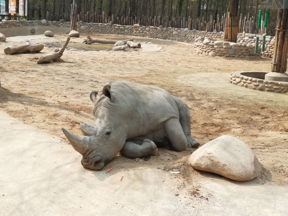 北京野生动物园