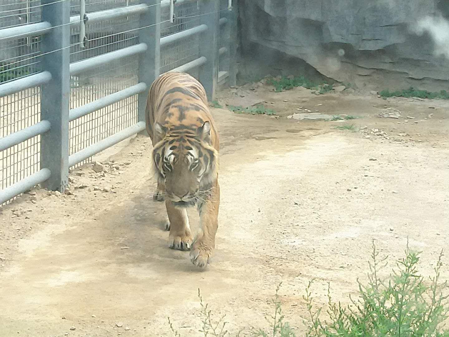 邯郸佛山野生动物园