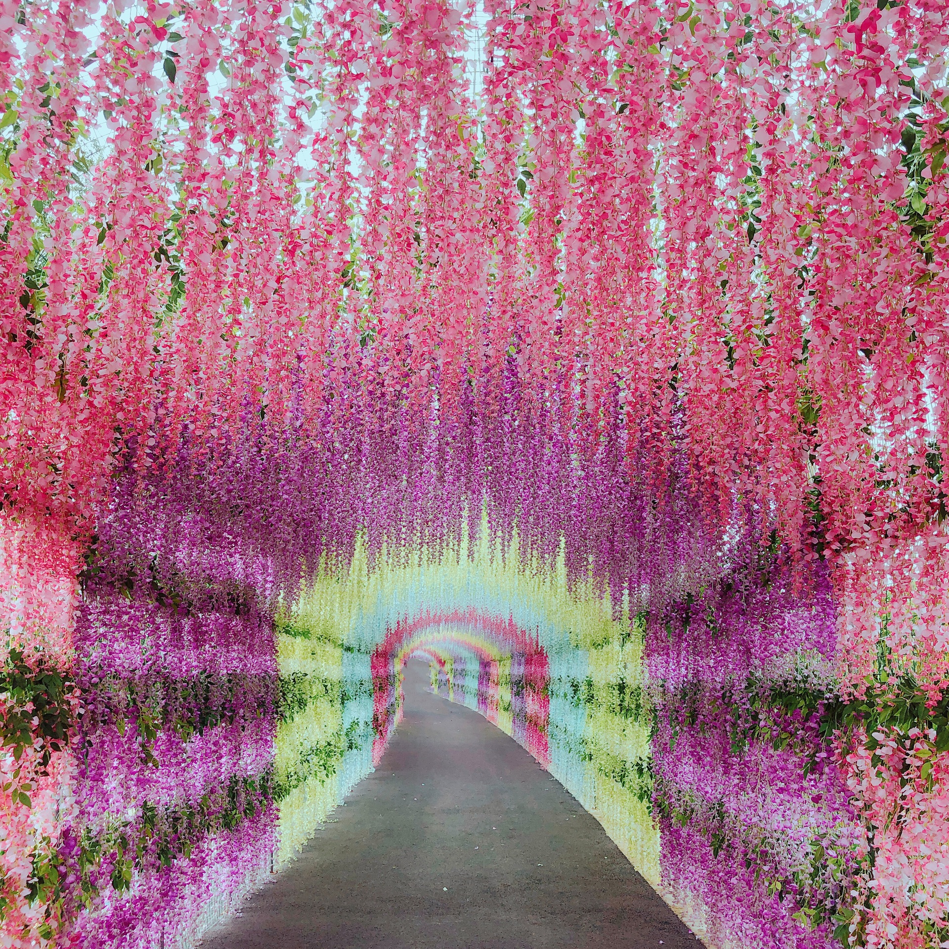 音乐百花谷