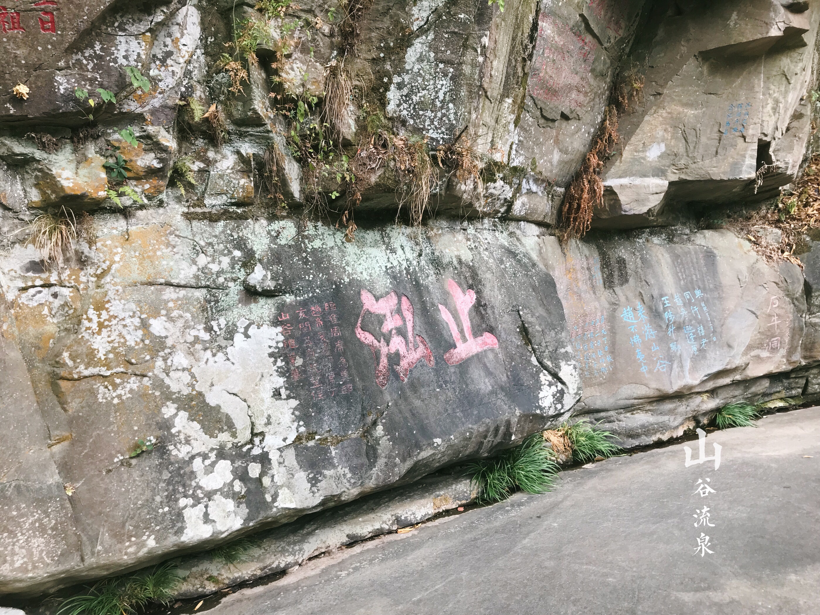 依次游览大峡谷,山脚下的三祖寺和山谷流泉摩崖石刻