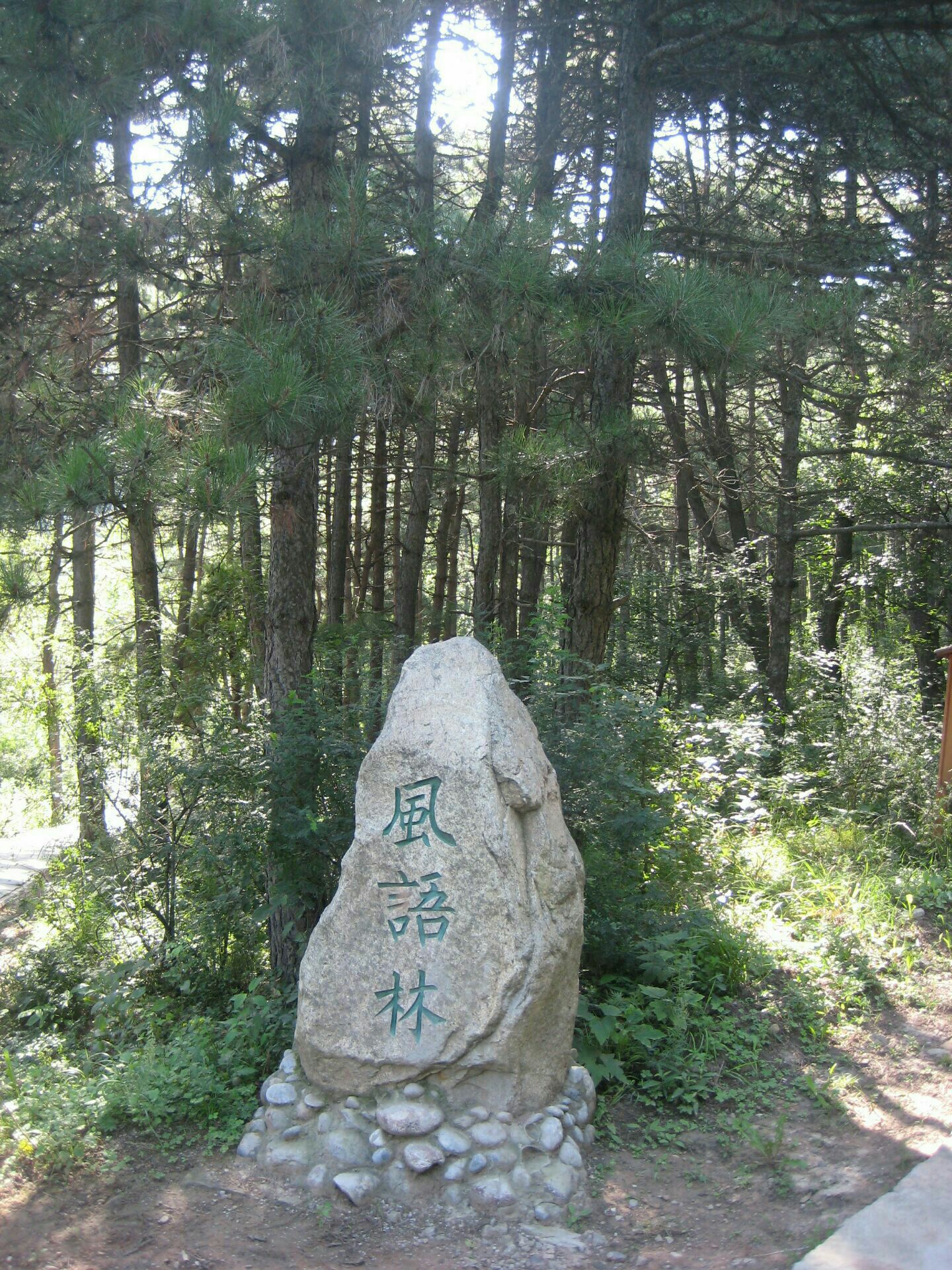 铜川玉华宫好玩吗,铜川玉华宫景点怎么样_点评_评价