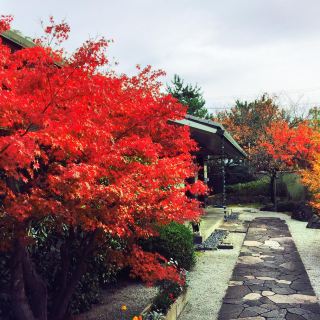 芦屋市谷崎润一郎记念馆 景点 博物馆 娱乐点 展馆展览 距景点1.4km