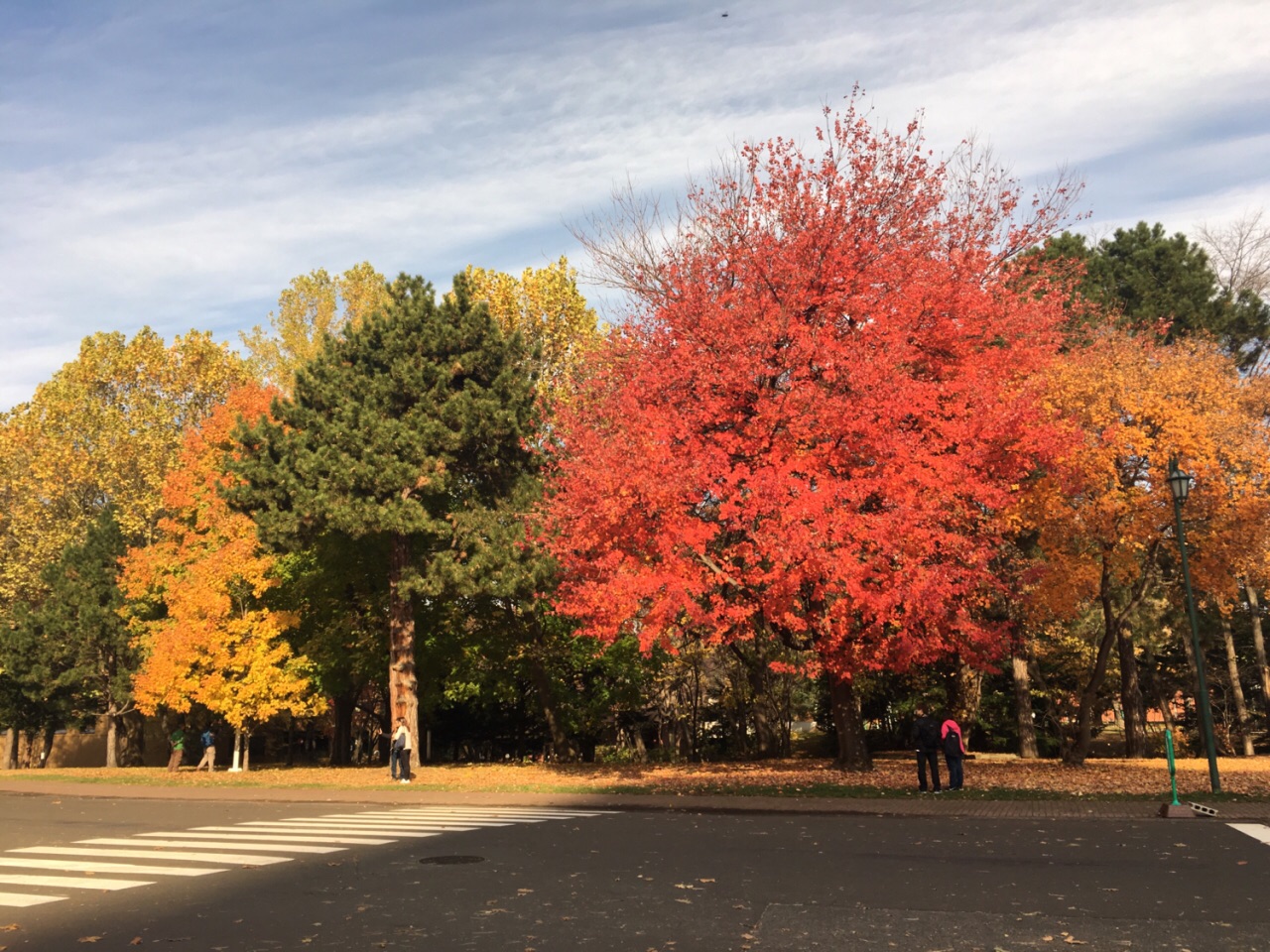 北海道大学植物园