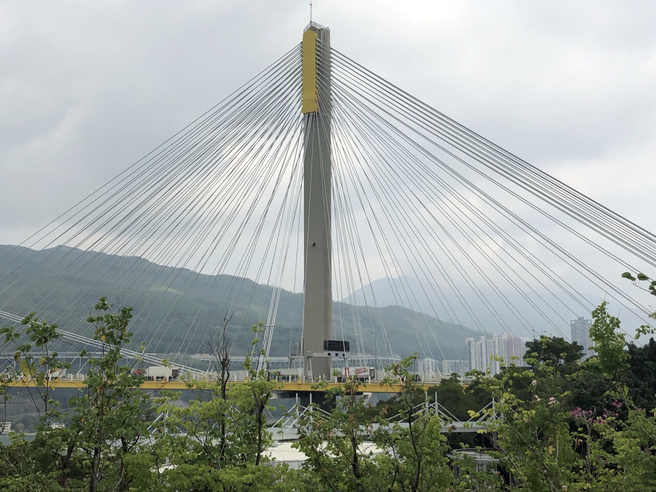 青马大桥