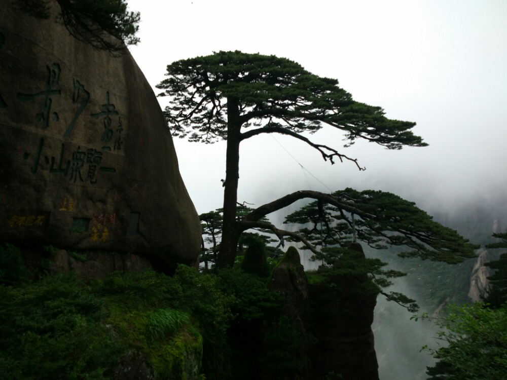 最后一天下山时去的迎客松,从后山天不亮就出来,爬了很久,本来想好好休整一下去天都峰,但是迎客松的人多到无法形容,拍照要排长队,天气也不好。相对头几天的人流稀少,风景秀丽,一下子不太能适应。树嘛,也不是非常的特别。应该说黄山棵棵都是迎客松,漂亮的松树实在太多,游玩到最后反而突显不出来了。