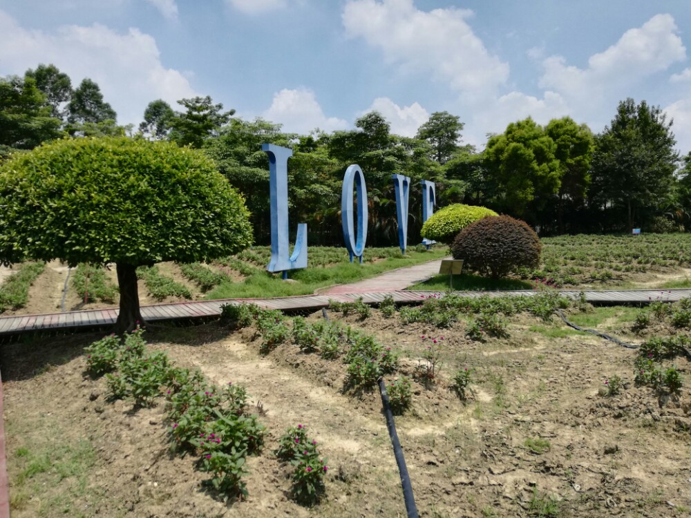 花都世界攻略旅游景点攻略图迷失牙香草之图片