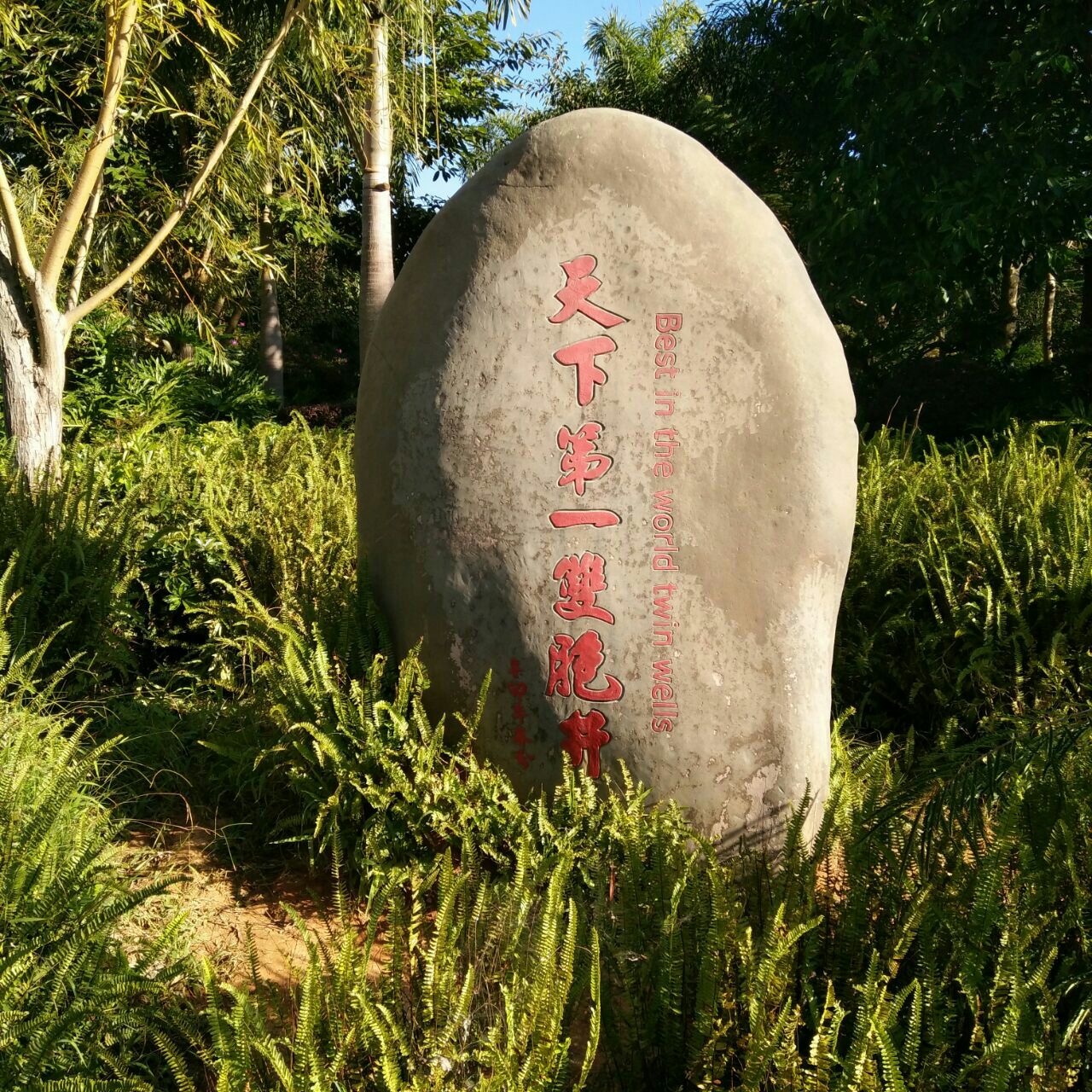 2019双胞文化园_旅游攻略_门票_地址_游记点评,墨江
