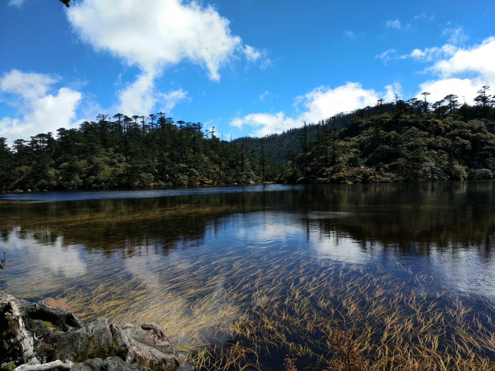 【携程攻略】凉山螺髻山景点,十月份去玩的那天天气很好阳光明媚天很