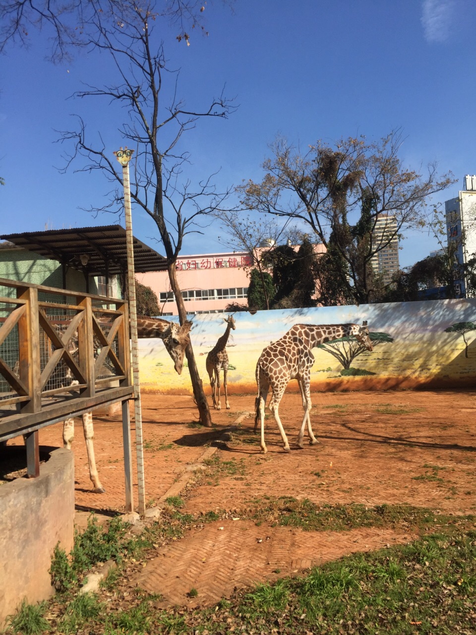 昆明动物园旅游景点攻略图