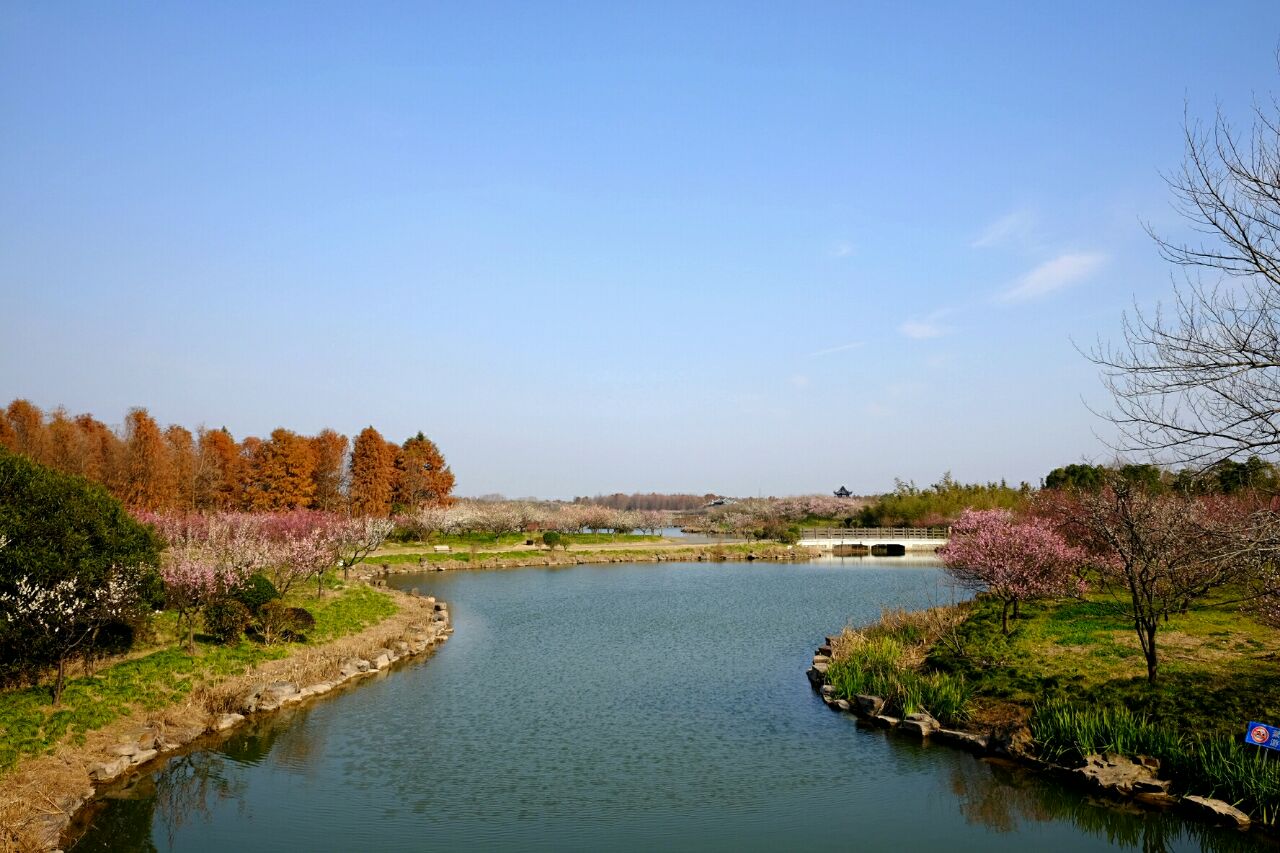 2019上海海湾国家森林公园-旅游攻略-门票-地址-问答