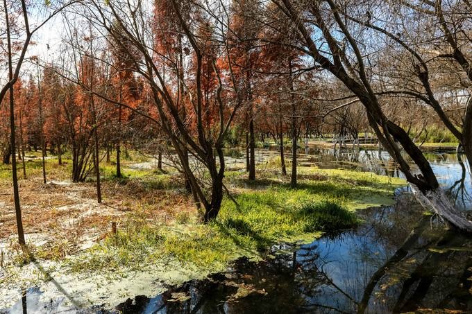 昆明捞鱼河湿地公园好玩吗,昆明捞鱼河湿地公园景点样