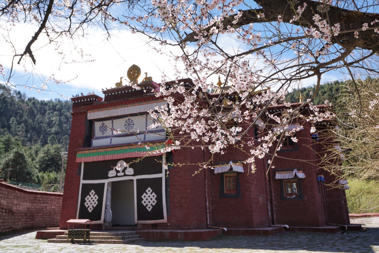 林芝布久喇嘛岭寺攻略,林芝布久喇嘛岭寺门票/游玩