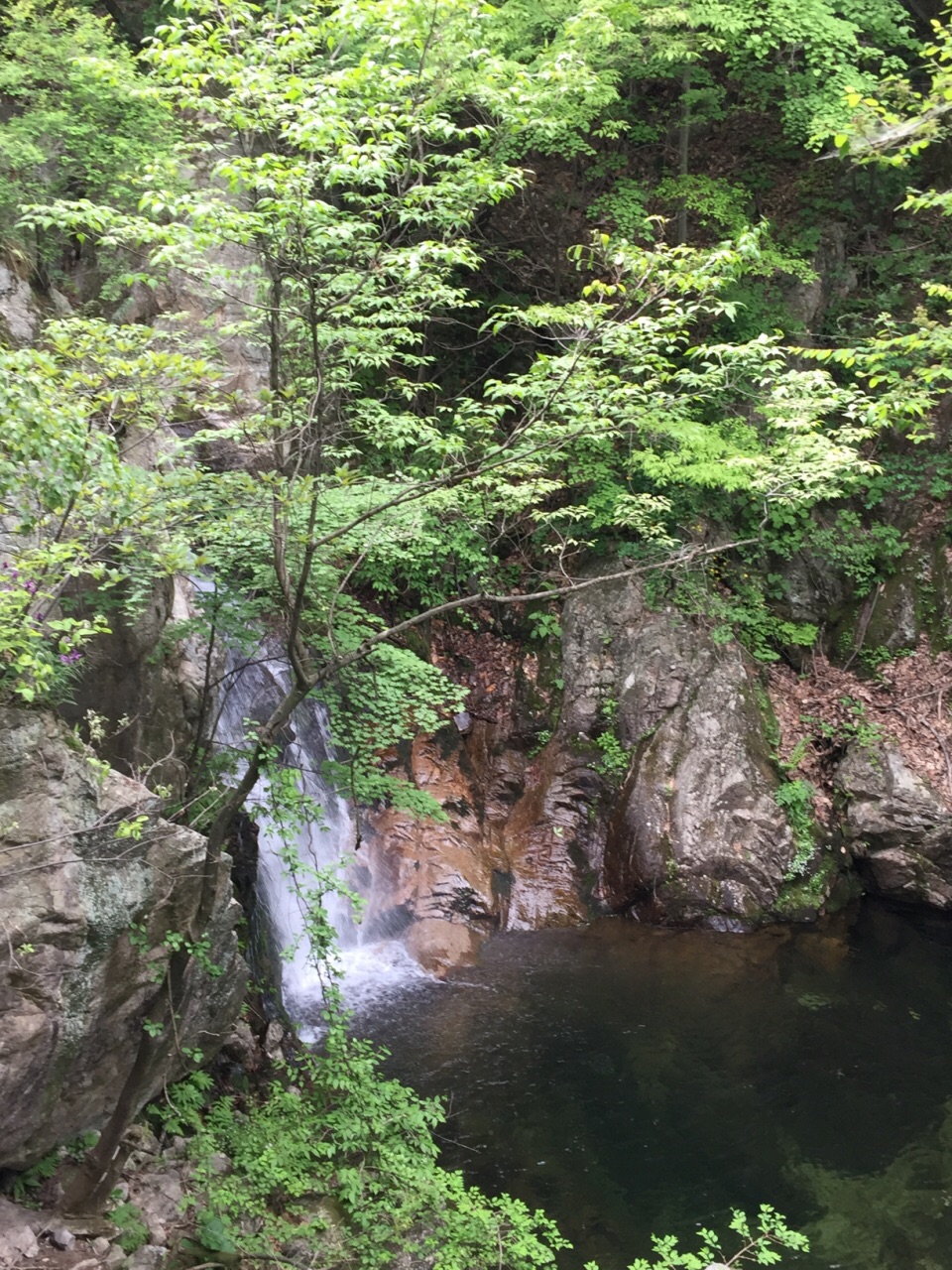 栾川追梦谷攻略,栾川追梦谷门票/游玩攻略/地址/图片