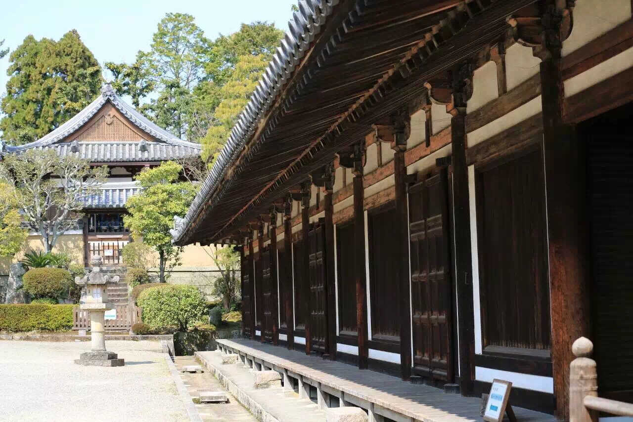 2019唐招提寺_旅游攻略_门票_地址_游记点评,奈良旅游景点推荐 去