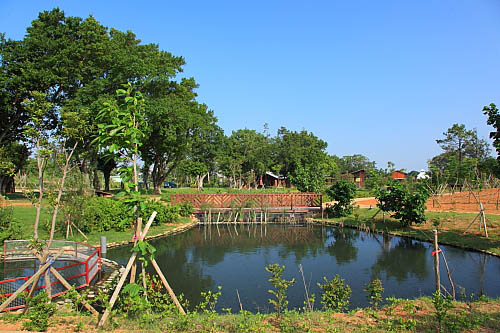 八德埤塘生态公园