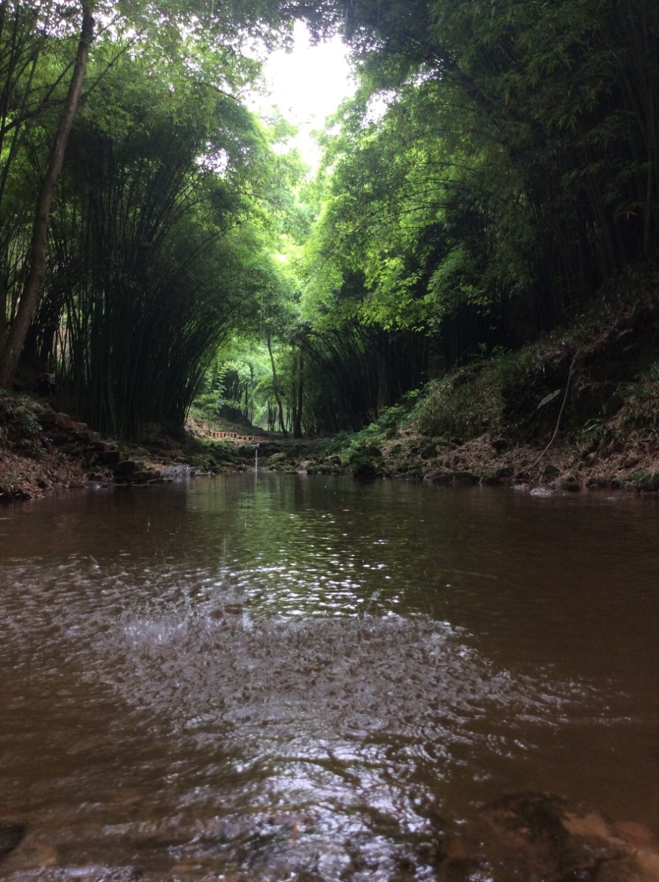 【携程攻略】邛崃川西竹海峡谷自然景区(金鸡谷)好玩