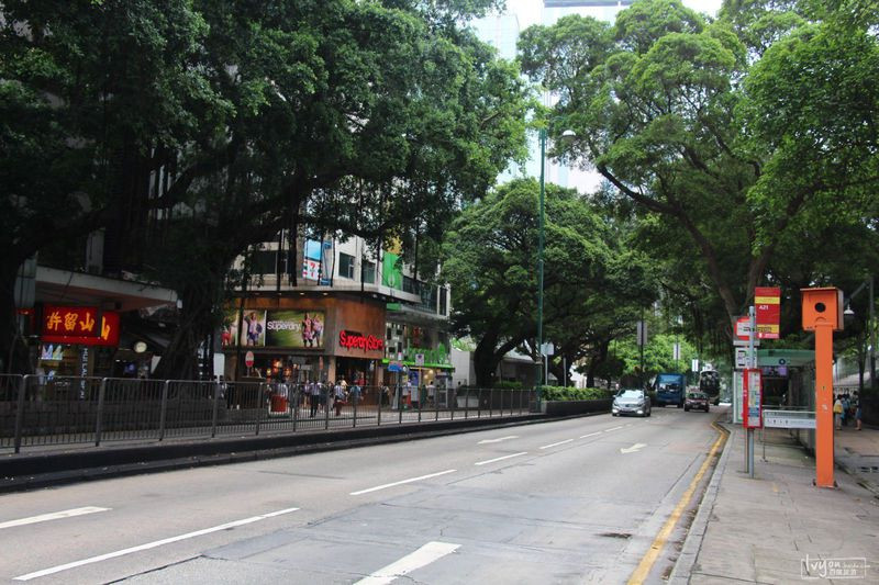 南国又一梦:深圳香港两日游,不出国门看世界