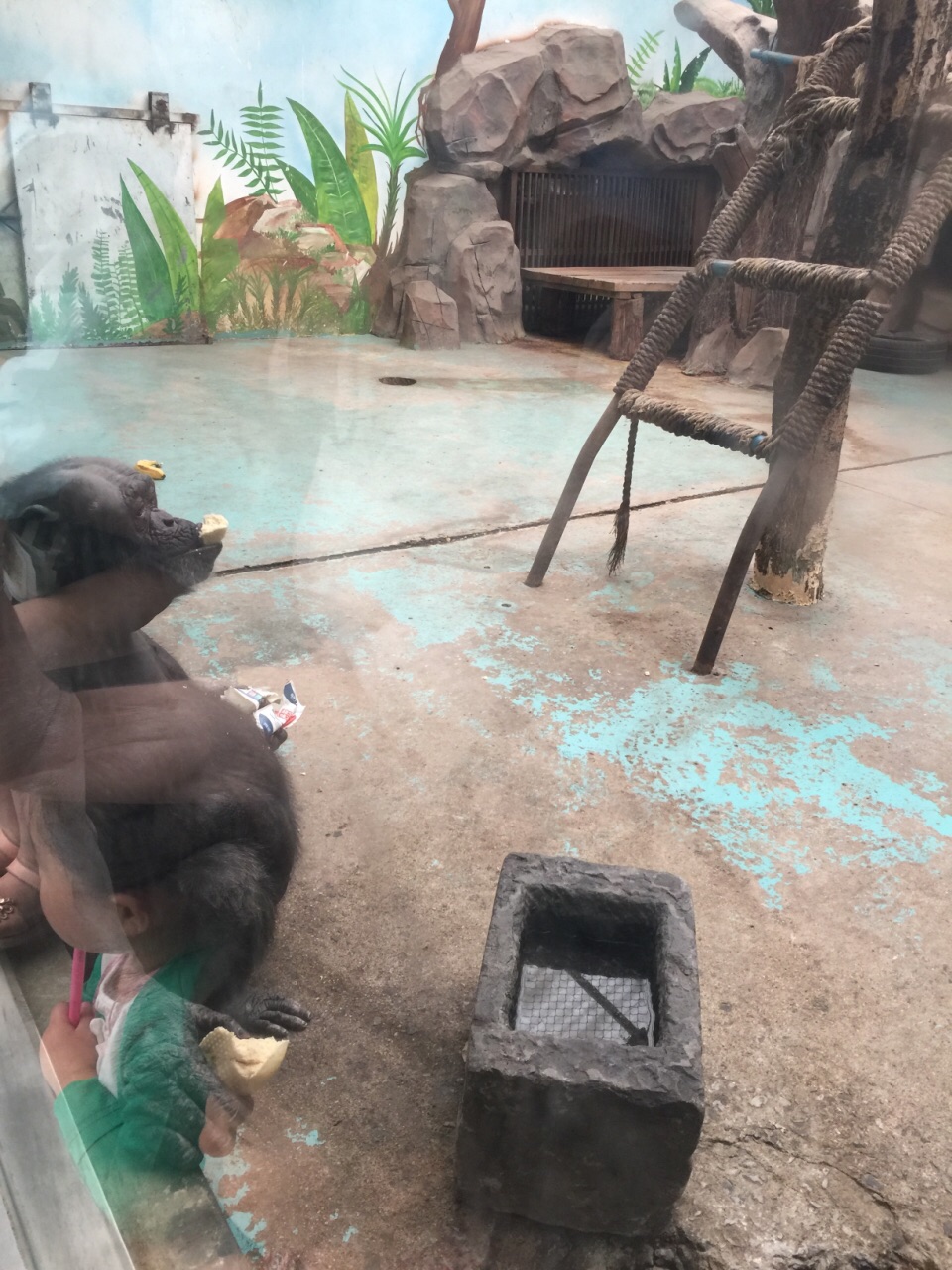 郑州动物园