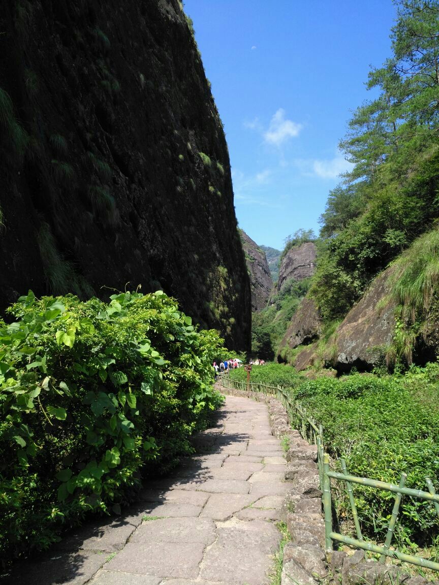 2019大红袍景区_旅游攻略_门票_地址_游记点评,武夷山