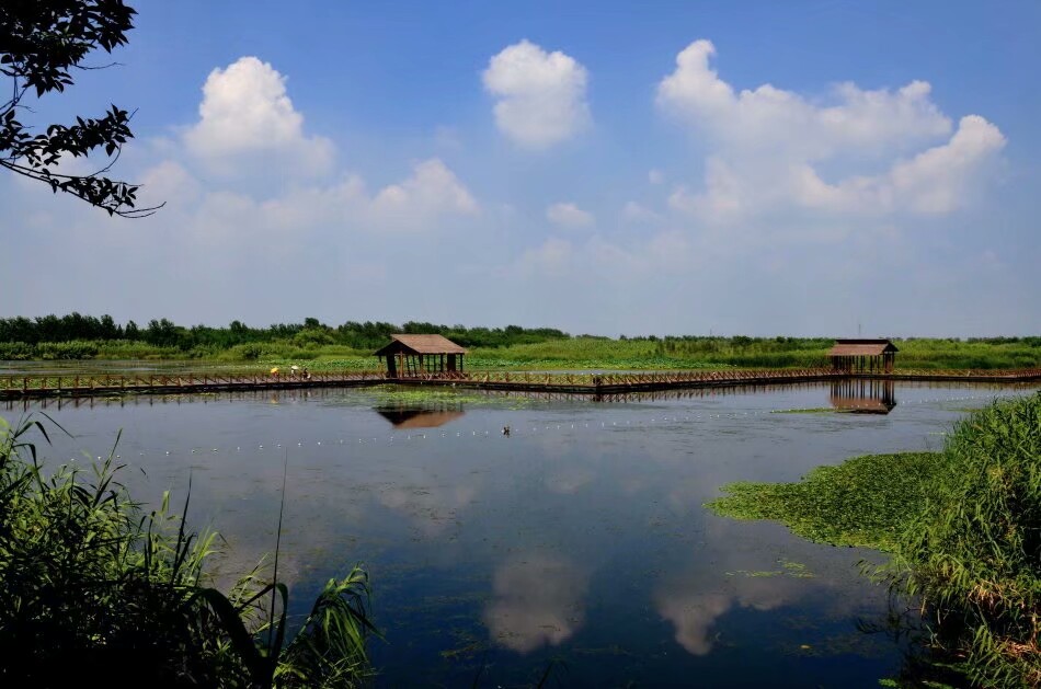 溱湖国家湿地公园