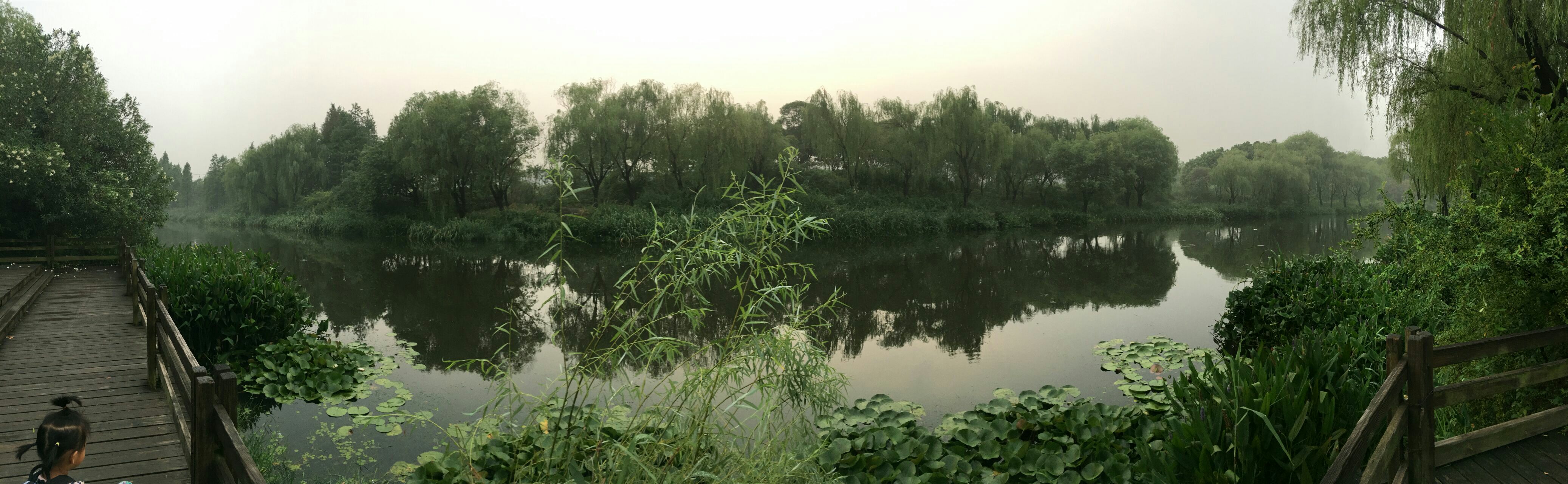 上海江湾湿地公园好玩吗,上海江湾湿地公园景点怎么样_点评_评价