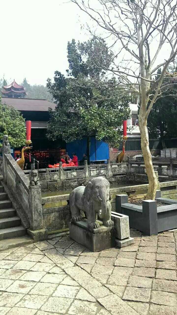 2019阜山清真禅寺_旅游攻略_门票_地址_游记点评,青田旅游景点推荐