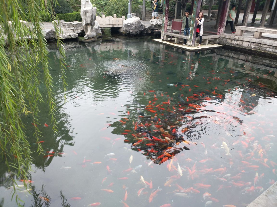 螺丝泉