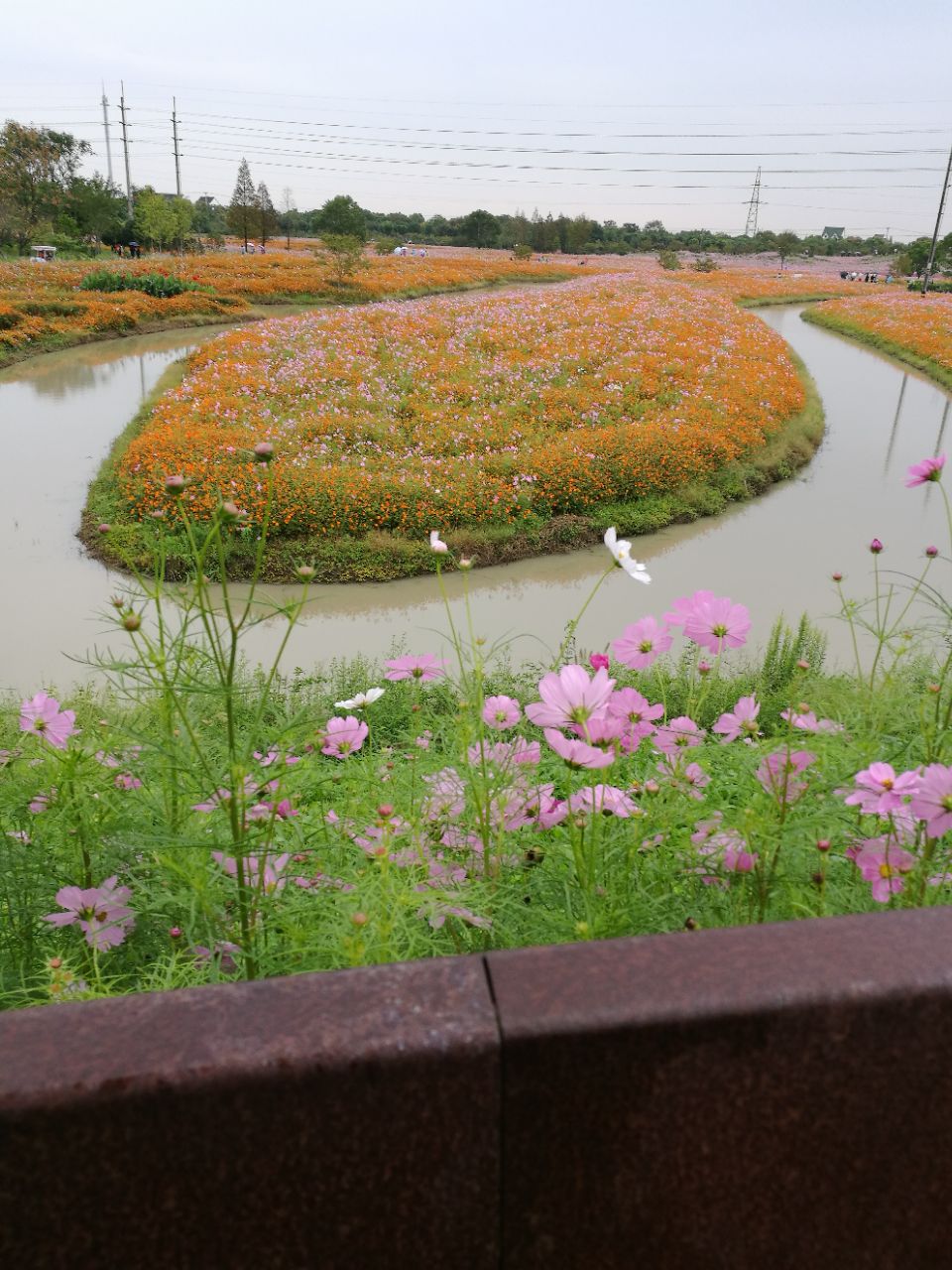 花开海上生态园