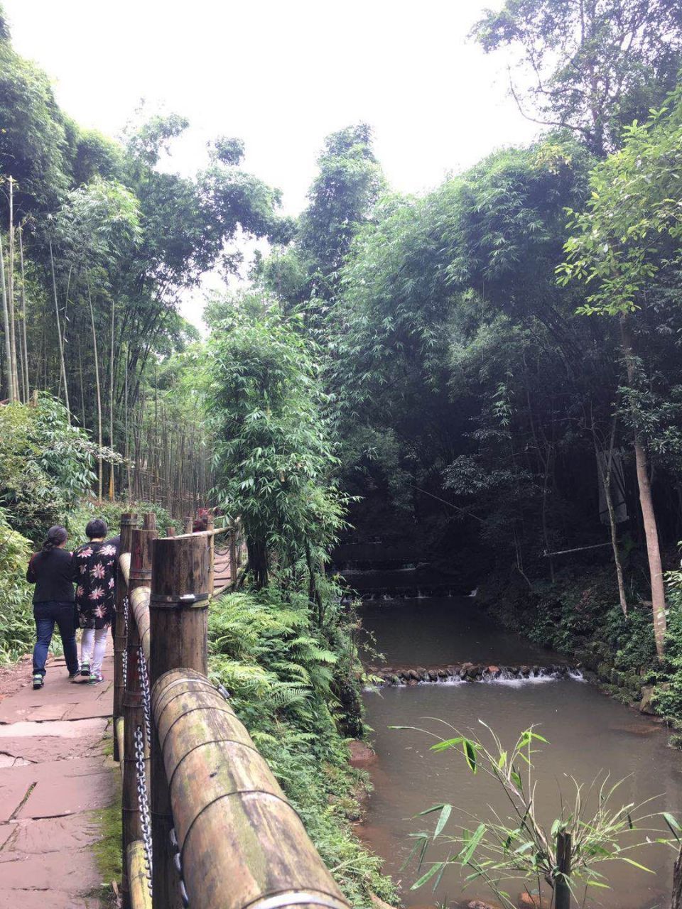 【携程攻略】邛崃川西竹海峡谷景区(金鸡谷)景点,刚才忘记发图了,两段