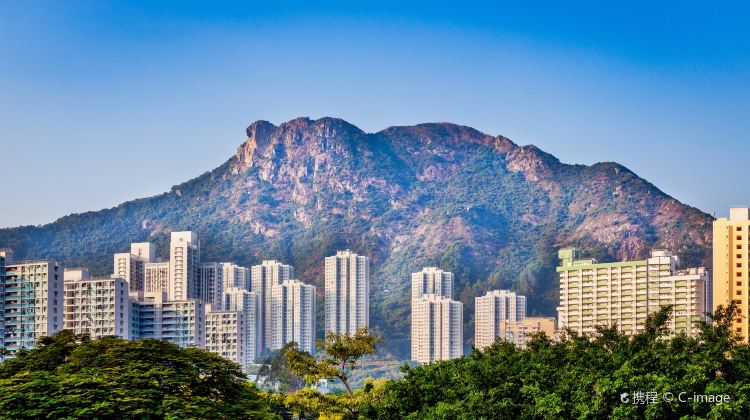 香港狮子山攻略-狮子山门票价格多少钱-团购票价预定优惠-景点地址