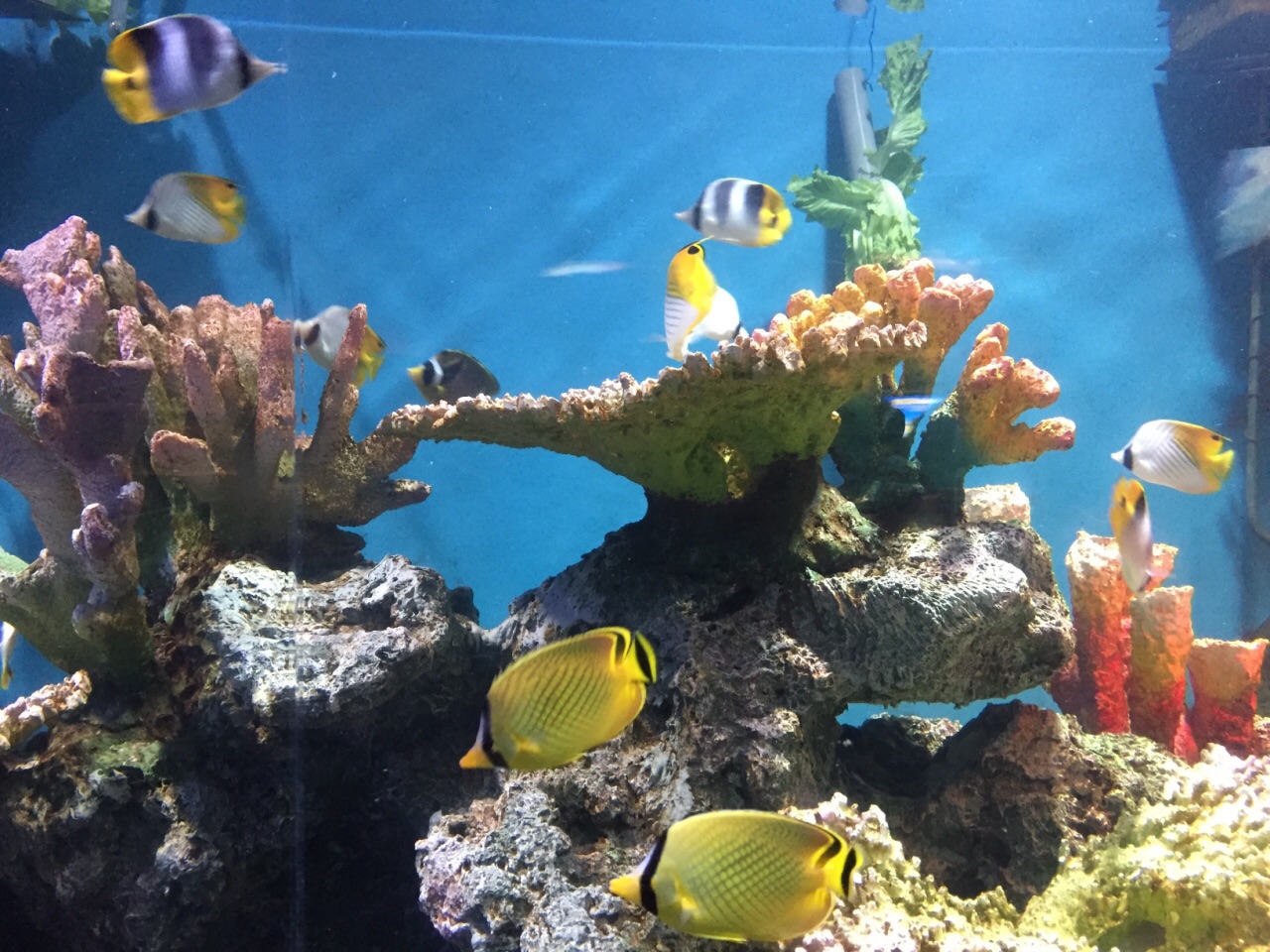 南京南京海底世界好玩吗,南京南京海底世界景点怎么样