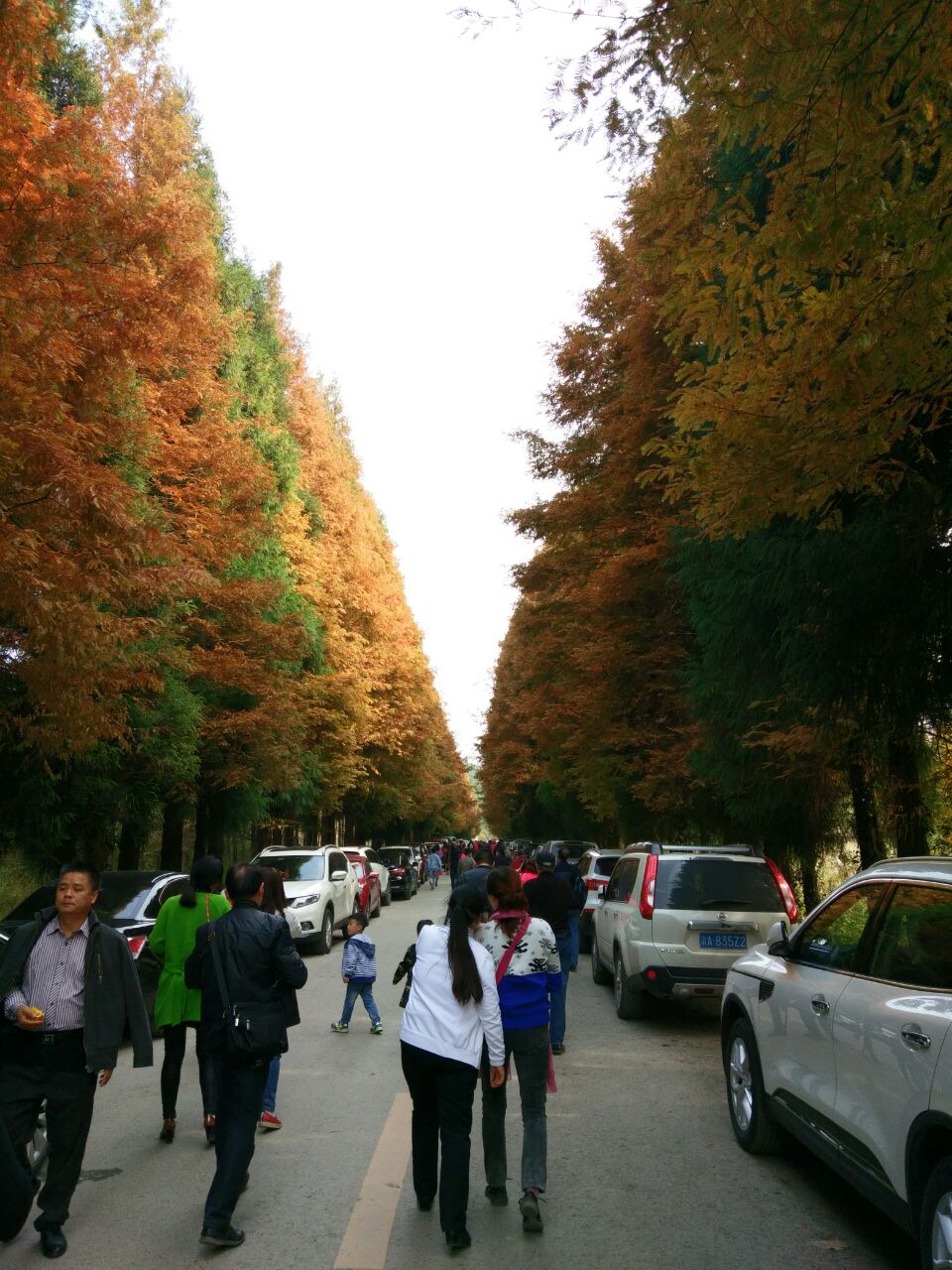 山王坪喀斯特国家生态公园