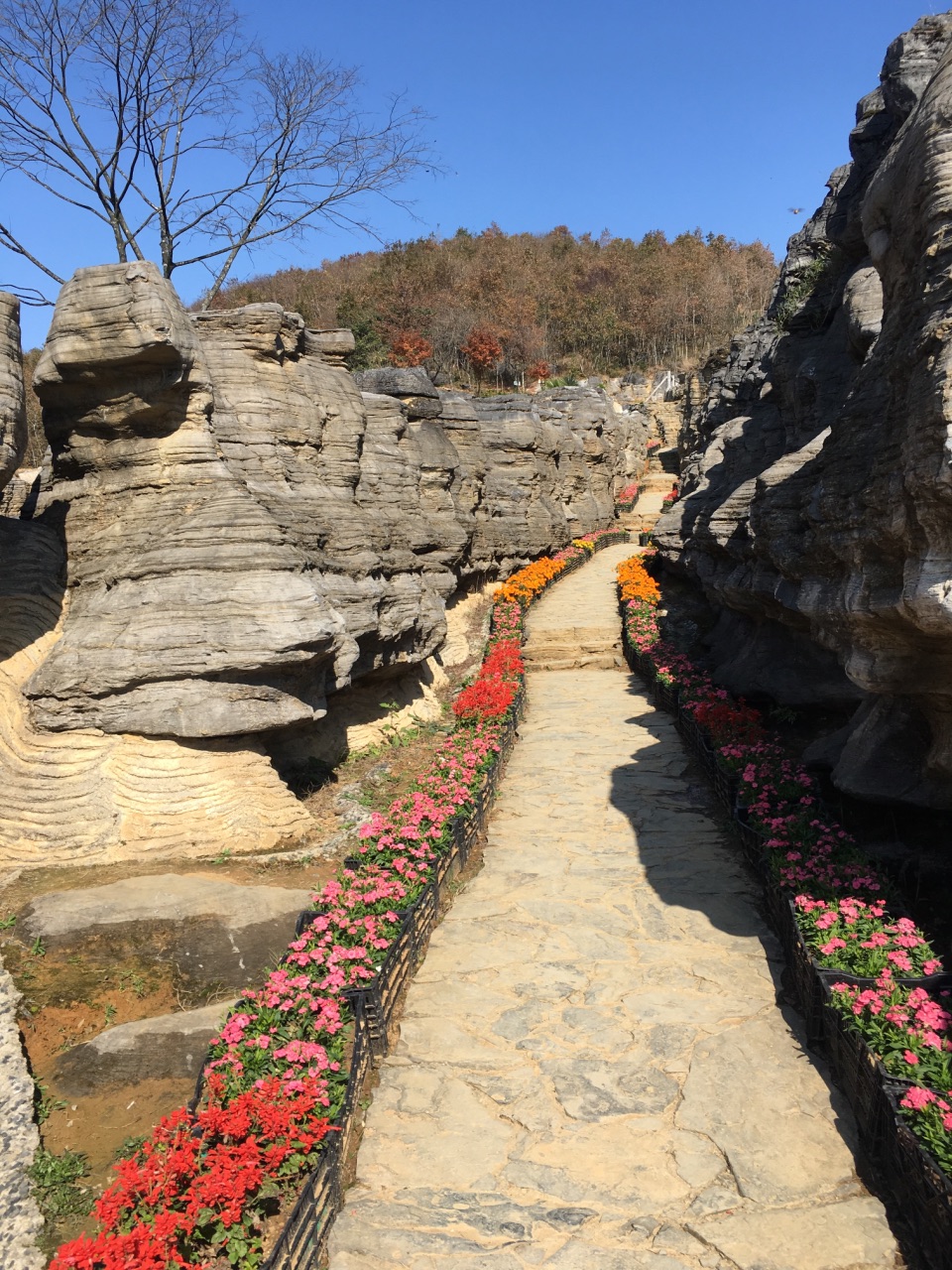 黟县西递石林景区好玩吗,黟县西递石林景区景点怎么样