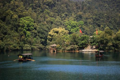 肇庆鼎湖山攻略,肇庆鼎湖山门票/游玩攻略/地址/图片