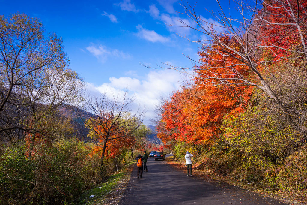 洋湖沟公路