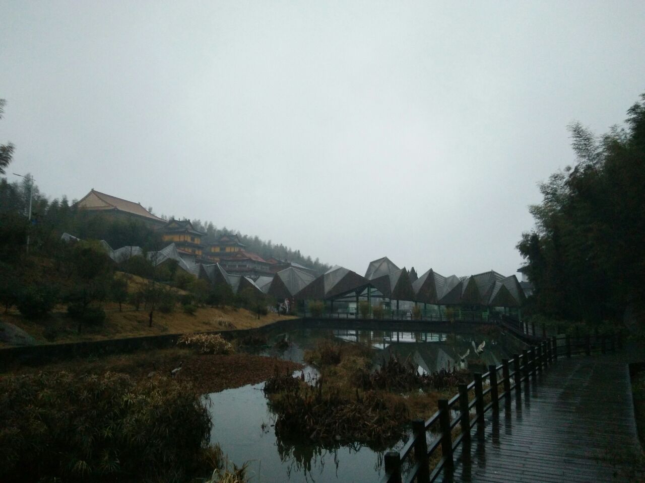 梅岭竹海明珠